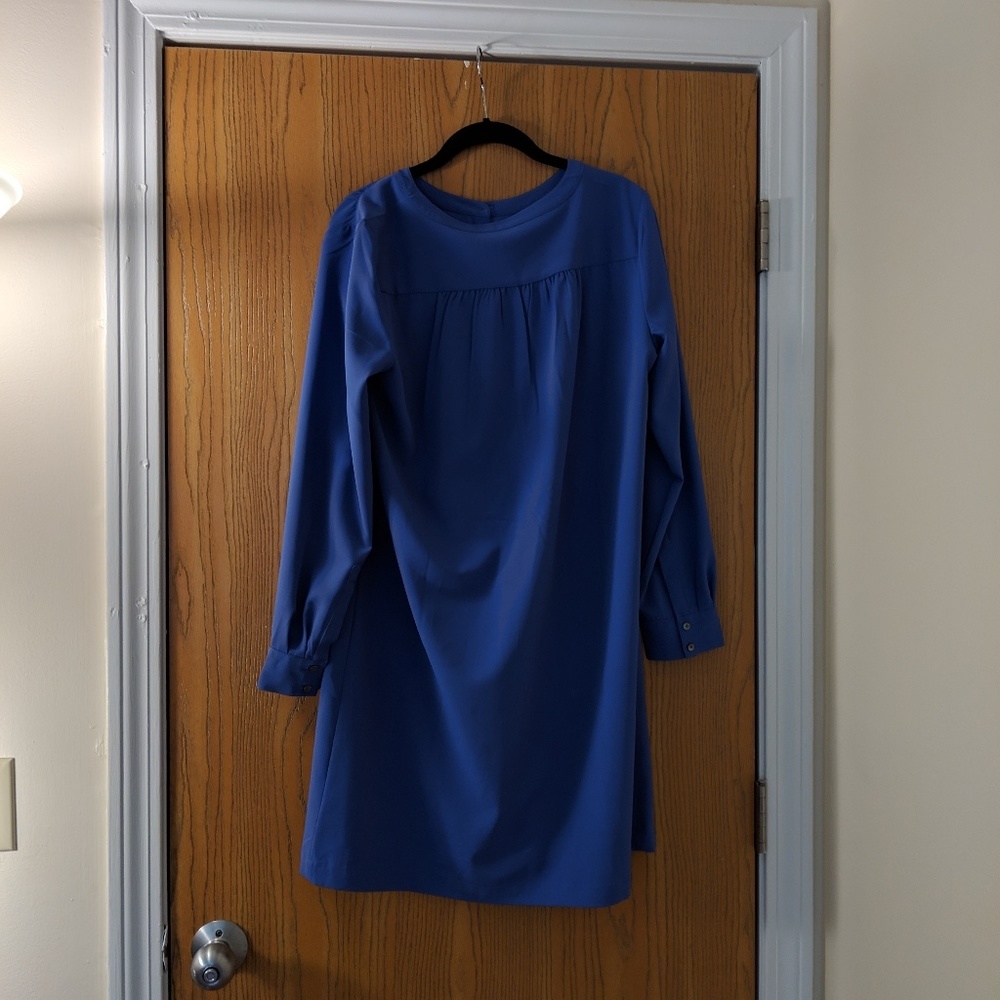 Loft Shift Dress - Picture 2 of 2